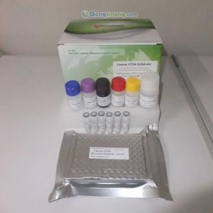 供應人長效甲狀腺刺激素(LATS)ELISA試劑盒 助力科研與精細化學品領域的非臨床研究